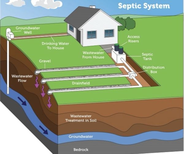 256EF8B3-2EA2-45D4-B34E-241890C59C1C