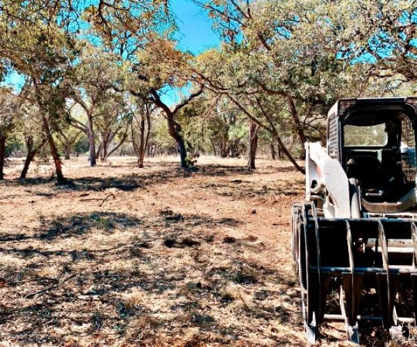 E697AD81-061E-4DA9-9CFA-20BE43509C88