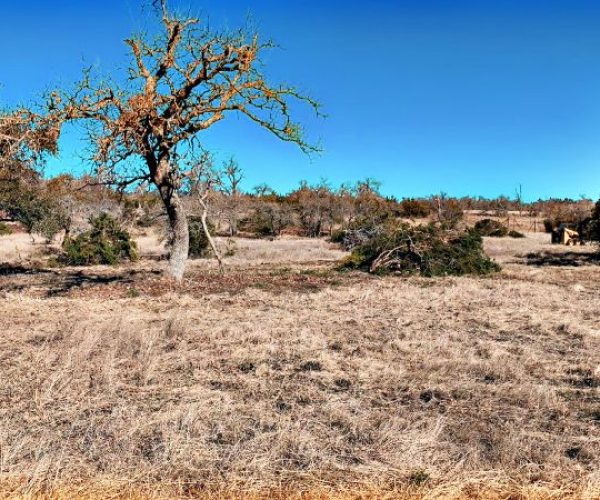 F51570C7-5F86-42DD-A2BB-665E767052B8